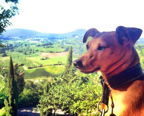 sociala_medier_semester