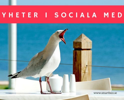 nyheter sociala medier