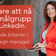 målgrupp LinkedIn annons campaign manager