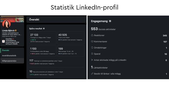 Mäta LinkedIn statistik profil