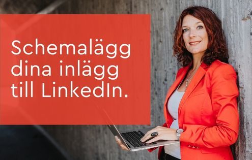 schemalägg inlägg linkedin
