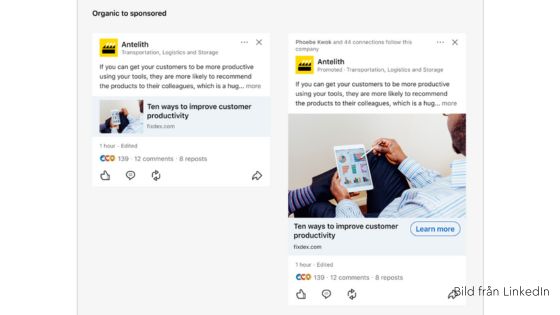 Inlägg med länk LinkedIn