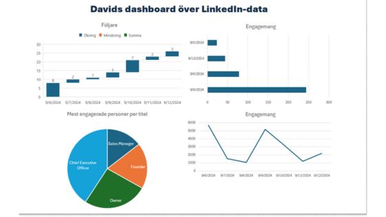 dashboard LinkedIn statistik