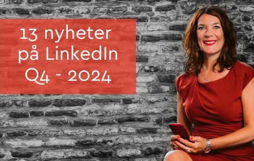 13 nyheter på LinkedIn Q4 - 2024