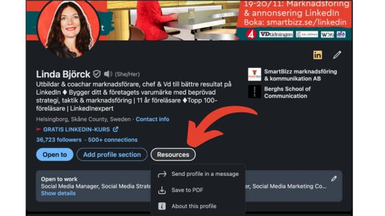 LinkedIn nyheter 2024 profilen