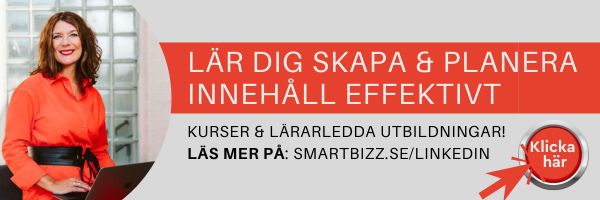 Linkedin _utbildning