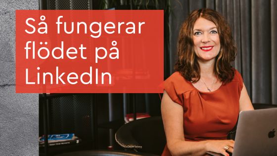 Så fungerar flödet på LinkedIn