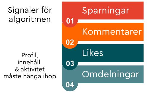 signaler för LinkedIn algoritm 2026